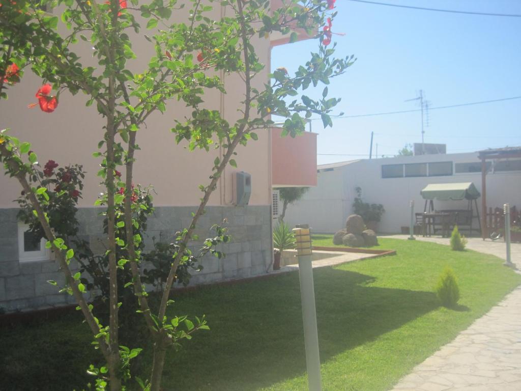 Sevi Apartments Kéfalos Dış mekan fotoğraf